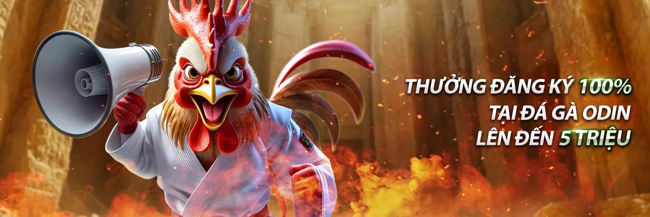 Sân vận động đầy ắp khán giả với logo win55 club, biểu tượng cá cược thể thao trực tuyến